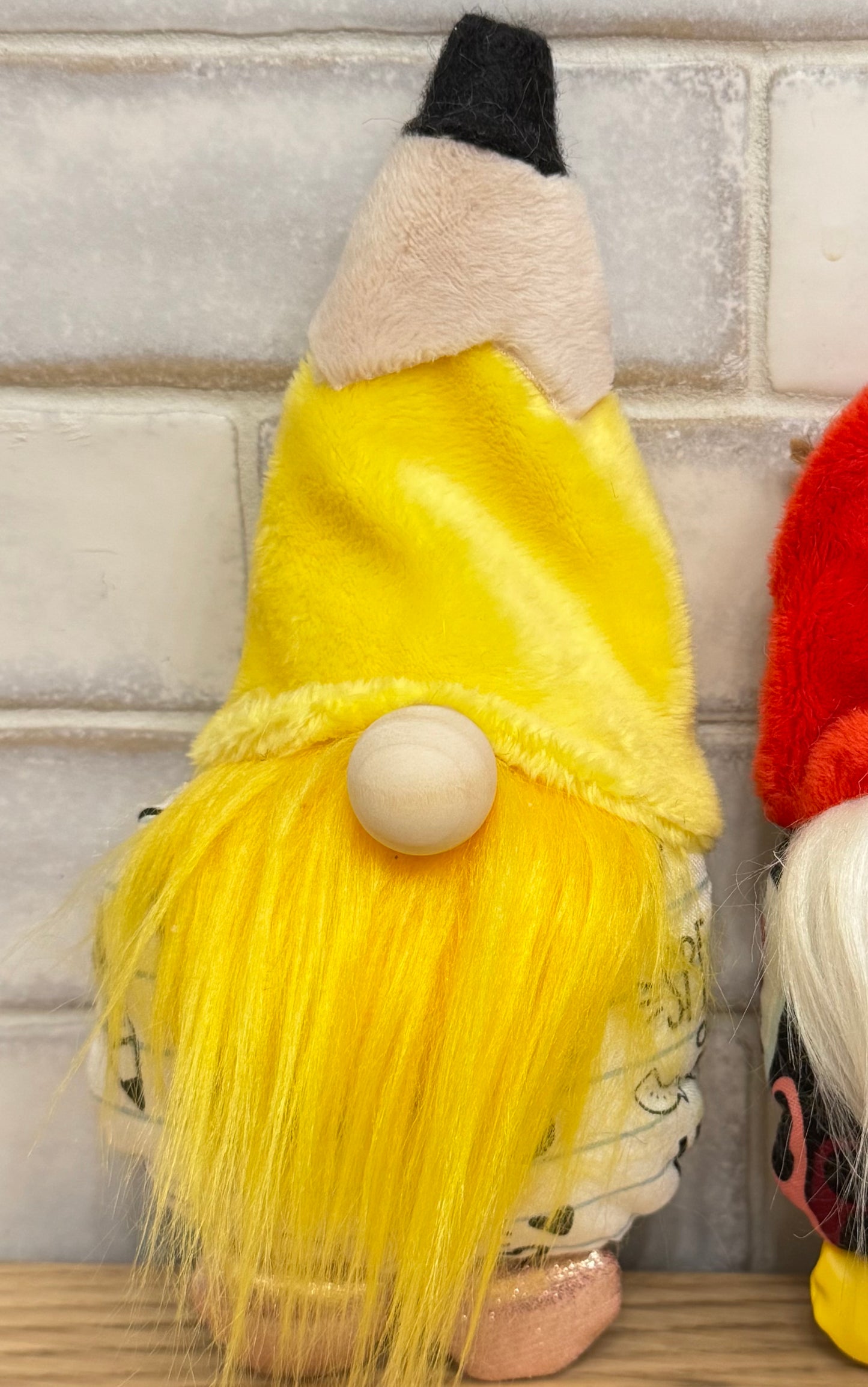 Mini school gnomes