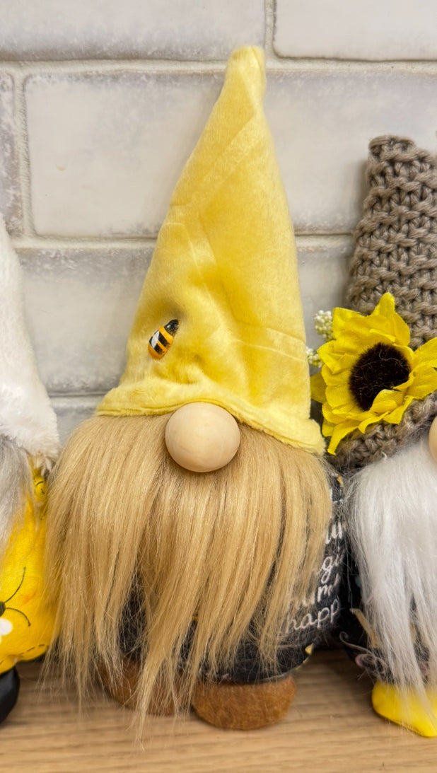 Mini gnomes