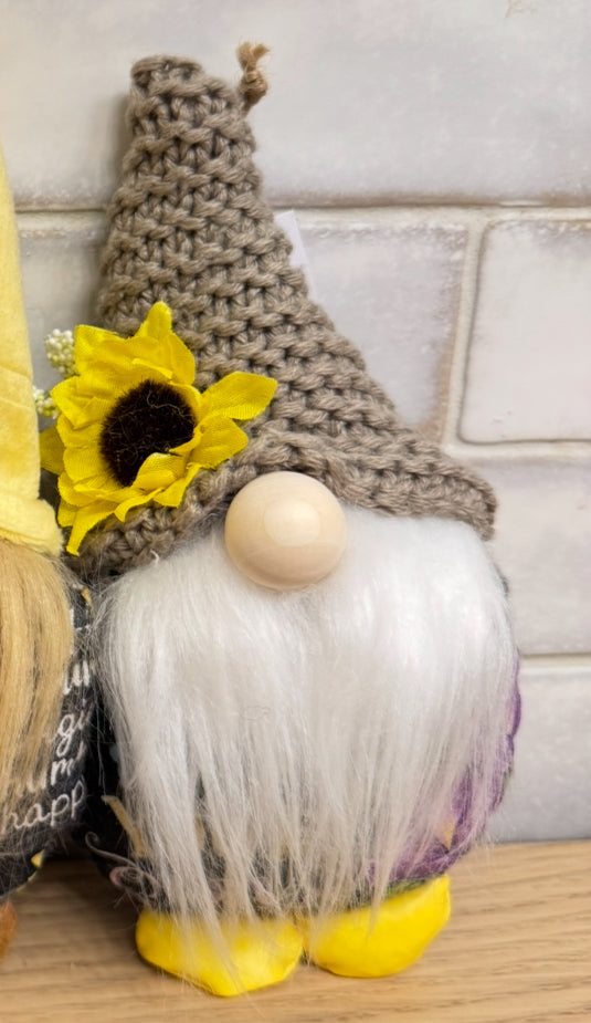 Mini gnomes