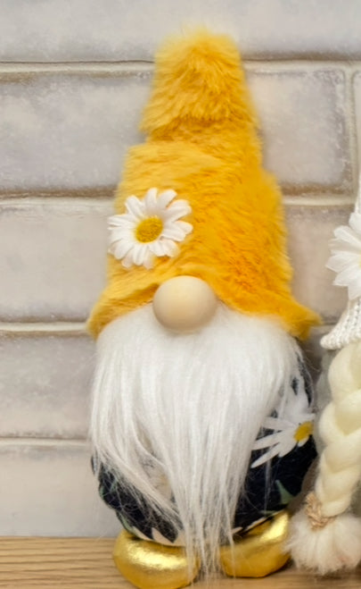 Mini gnomes